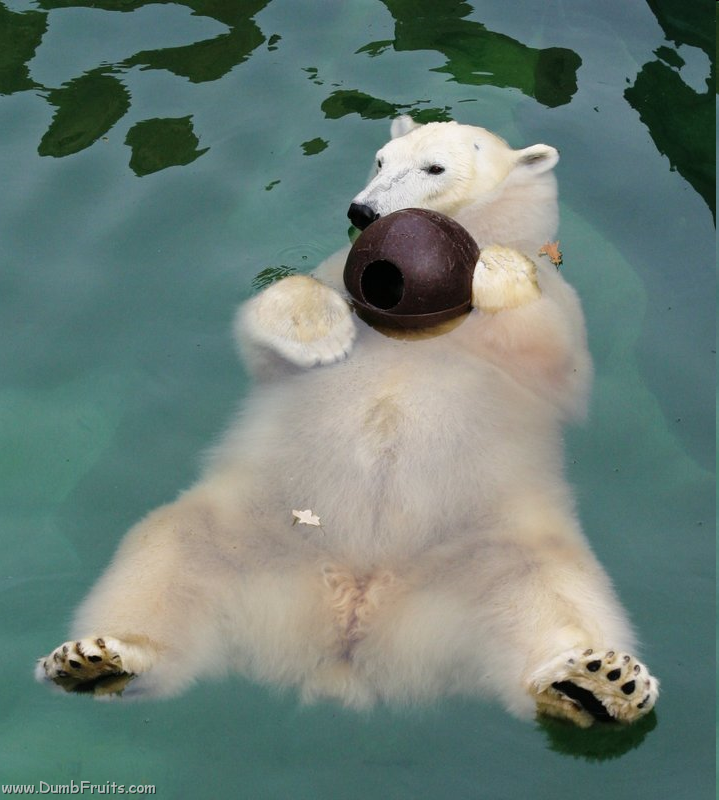 [image[129].png]