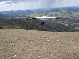 PB110233.JPG