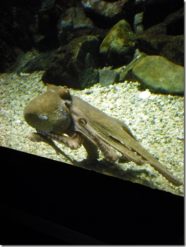 DSCF9338