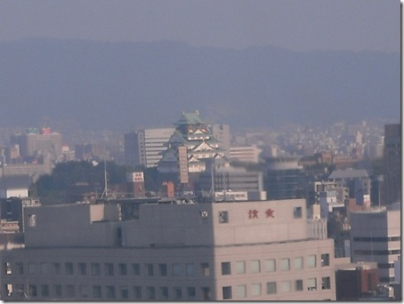 DSCF9517 (2)