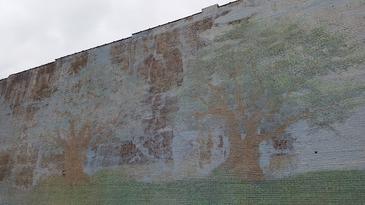 Faded Trees Mural