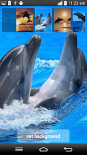 How to install Dolphin Clock Live Wallpaper lastet apk for android
