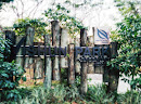 Yishun Park +Arboretum Shorea
