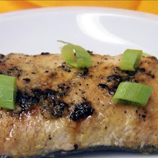 Honey Mustard Grilled Salmon or Tuna Steaks