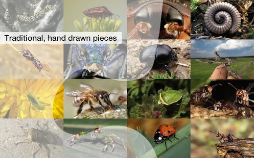 How to download Jigsaw Puzzles: Creepy Crawler 1.8.9 apk for android