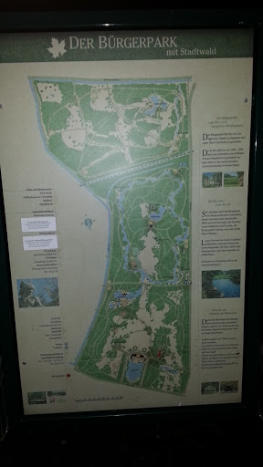 Bürgerpark Plan
