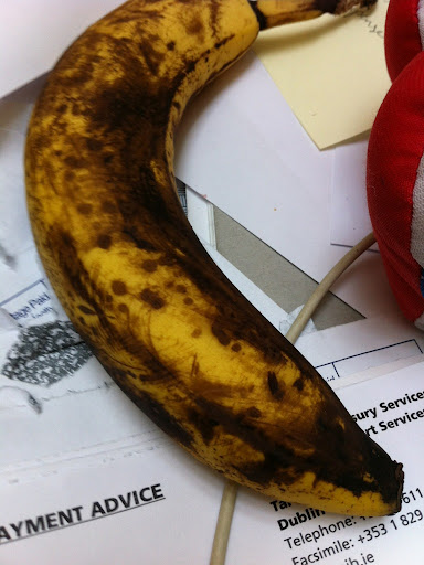 Should I Eat?