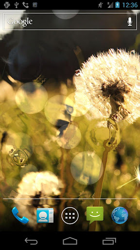 Dandelion Live Wallpaper ★