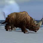 woolyrhino_brown.jpg