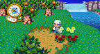 AnimalCrossing - eMagi.co.uk-11.jpg