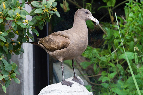 Spotting Image 1