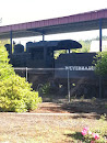 Weyerhaeuser Train