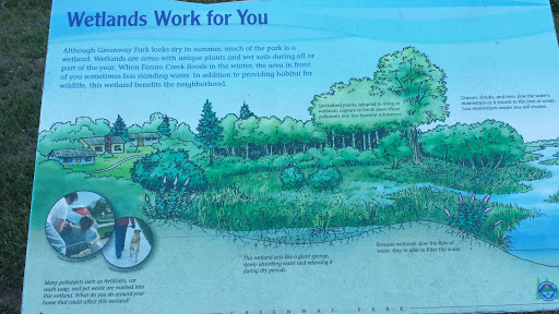 Wetlands Work for You