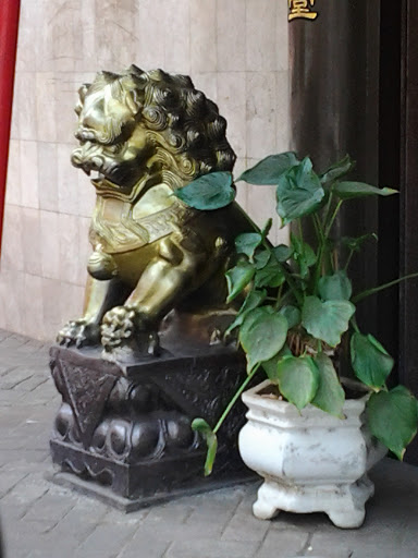Gold Lion Statue Kiri