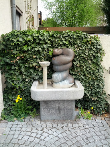 Snake in Götzis