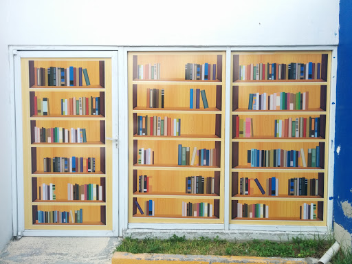 Librería en el muro
