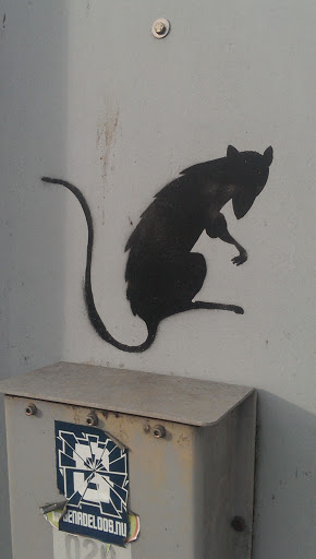 Rat at the Bridge
