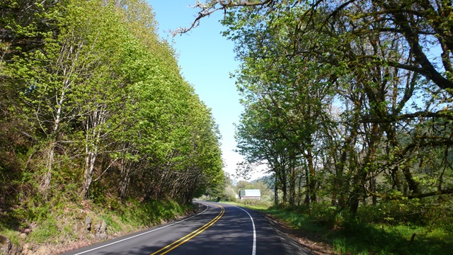[P1790002[2].jpg]