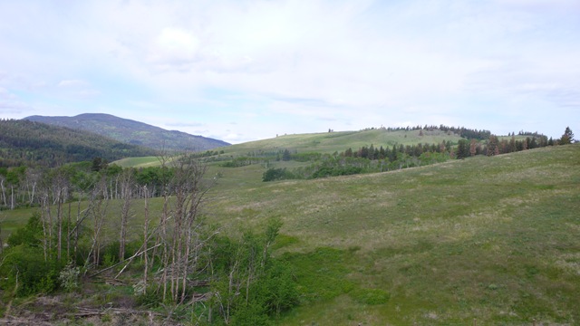 [P19009072.jpg]