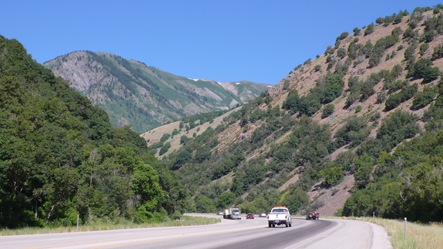 [P20607532.jpg]