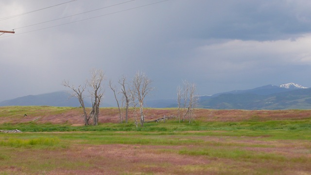 [P20005052.jpg]