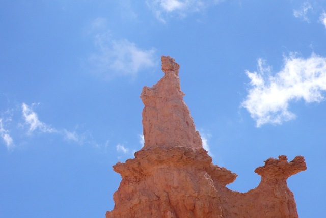 [P21008382.jpg]
