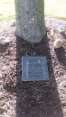 Dan Miner Memorial Plaque and Tree