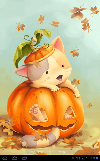 Pumpkin Kitten Live Wallpaper