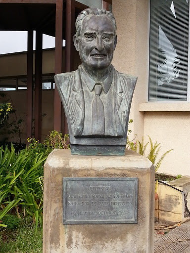 Busto Al Profesor Antonio González González