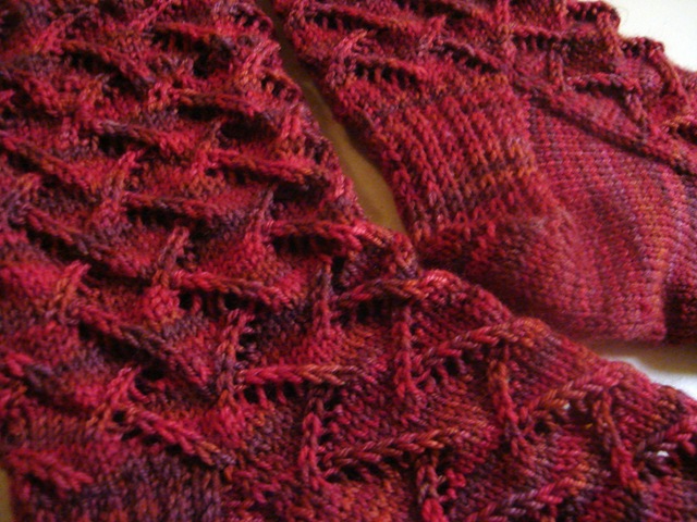 [DSC01764[2].jpg]