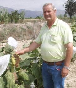 [019D5LORP1_1 girasoles[2].jpg]