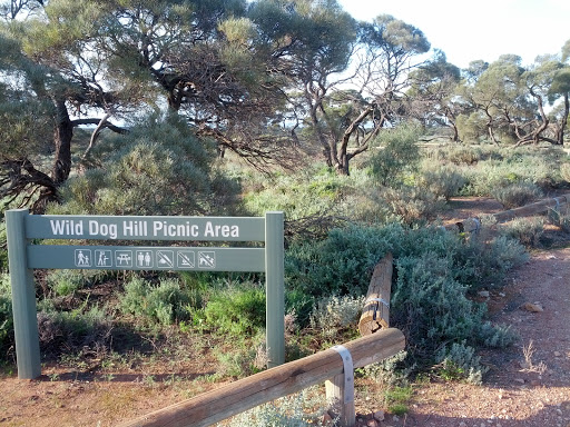 Wild Dog Hill Picnic Area