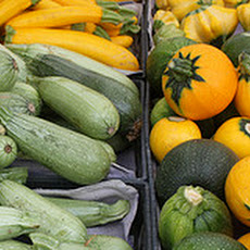 Farmer's Market Calabacitas
