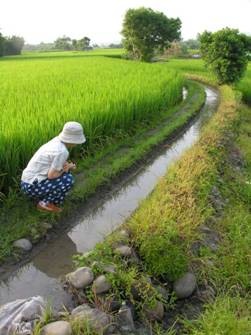 [clip_image075[3].jpg]