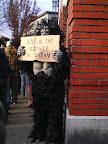 Angry Gorilla expresses opinion outside Ani show