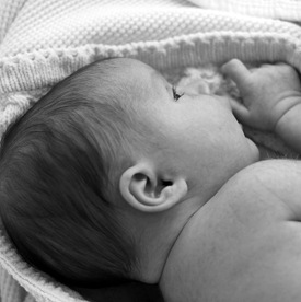 [DSC_0529-1[3].jpg]