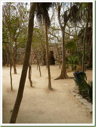 Yucatan-tinou&julie 031