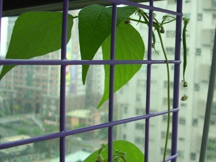 [080501-IMG_8188-1[9].jpg]