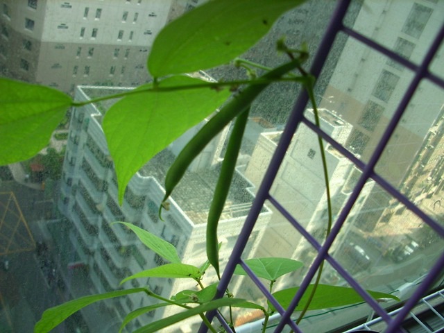 [080509-IMG_8210[3].jpg]