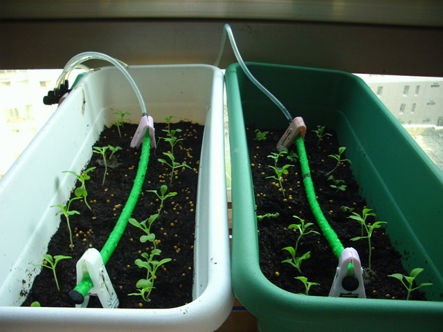 [080407-IMG_7780[4].jpg]