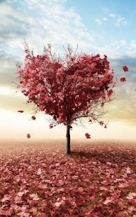 How to get Autumn Love Live Wallpaper 15.0 mod apk for android