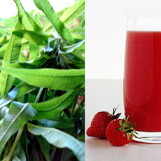 Strawberry and Lemon Verbena Summer Drink