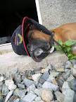 http://lh3.ggpht.com/extratherese/SLbt1NgEdpI/AAAAAAAAEDs/h-QH_BveHxM/s144/aout%202008%20231.jpg