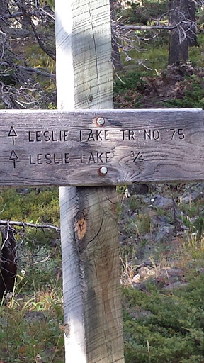 Leslie Lake Trail