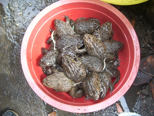 [2008-10-28 Vietnam 116[4].jpg]