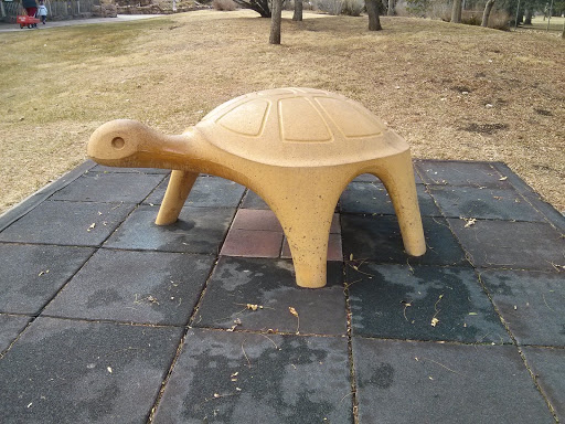 Zoo Turtle