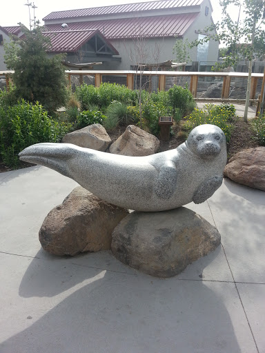 Happy Seal at Hogle Zoo