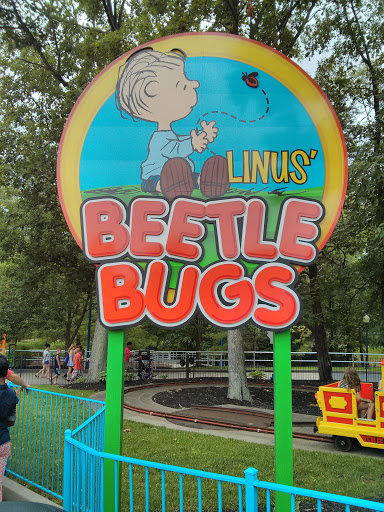 Linus Beetle Bugs