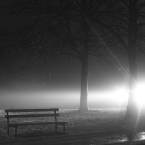 Shotts by Night by Tommy  Cochrane - Landscapes Travel ( scotland, uk, park bench, shotts, light )