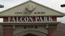 Falcon Park
